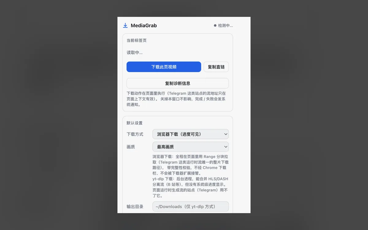 MediaGrab 界面预览